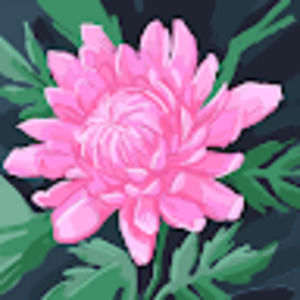 Meet your Posher, Chloe